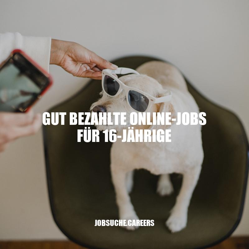 Gut bezahlte Online-Jobs für 16-Jährige: 5 Möglichkeiten zum Geld verdienen von zu Hause aus