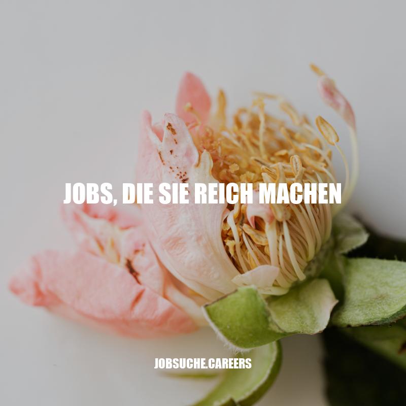 Top Berufe: Die lukrativsten Jobs, die Sie reich machen