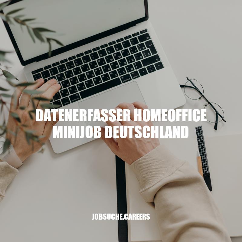 Datenerfassung im Homeoffice - Minijob in Deutschland